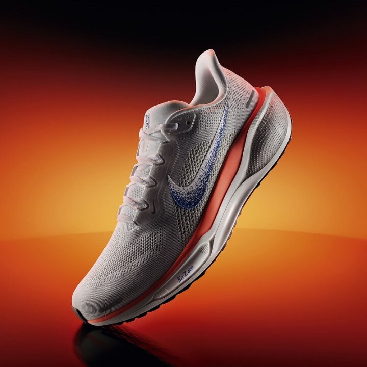 Nike Pegasus 41 Blueprint